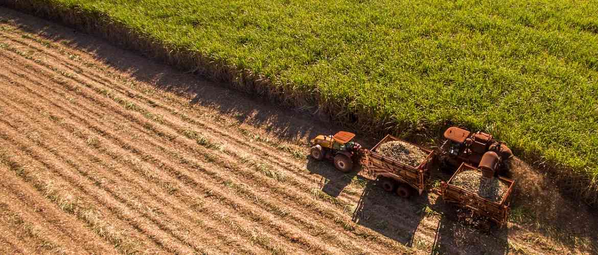 Os desafios de inovação para o agronegócio