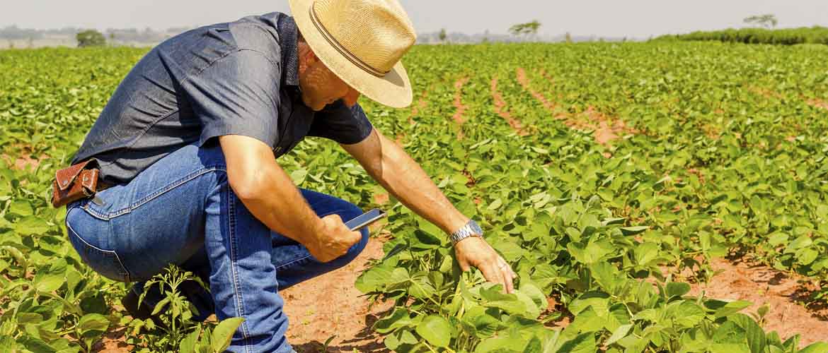 As oportunidades de inovação no agronegócio