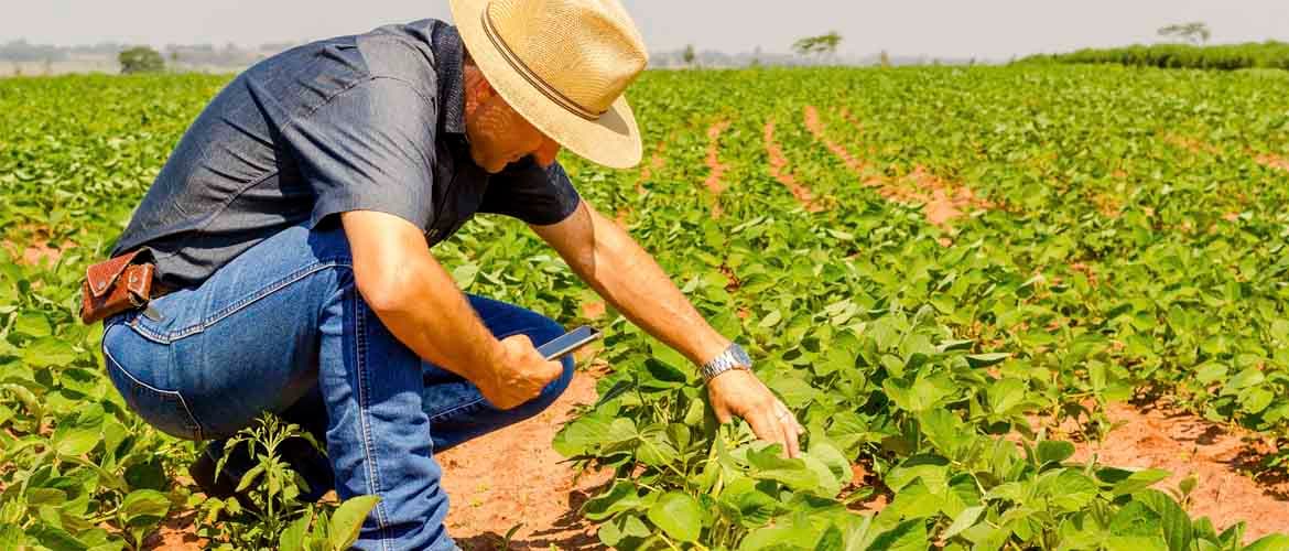 As oportunidades de inovação no agronegócio