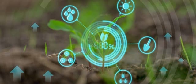 SXSW 2019: o que de mais interessante aconteceu no festival de inovação e tecnologia