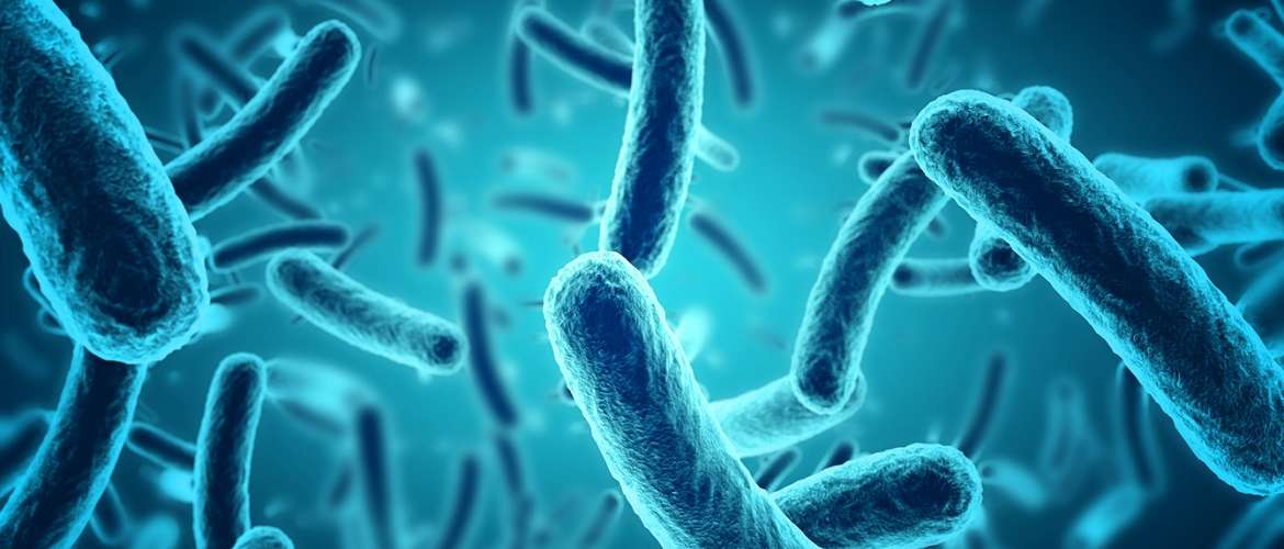 Descubra como um algoritmo de IA ajudou a desenvolver um antibiótico capaz de matar superbactérias?