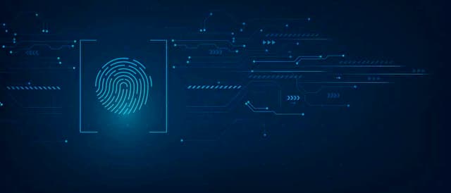 No Dia Internacional da Privacidade de Dados, confira dicas de especialistas para proteger o seu negócio