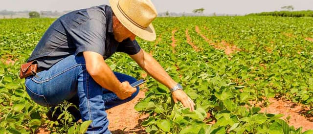 As oportunidades de inovação no agronegócio