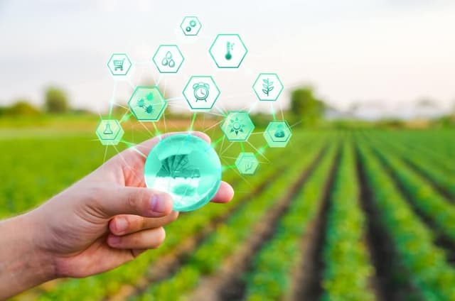 5G agronegócio