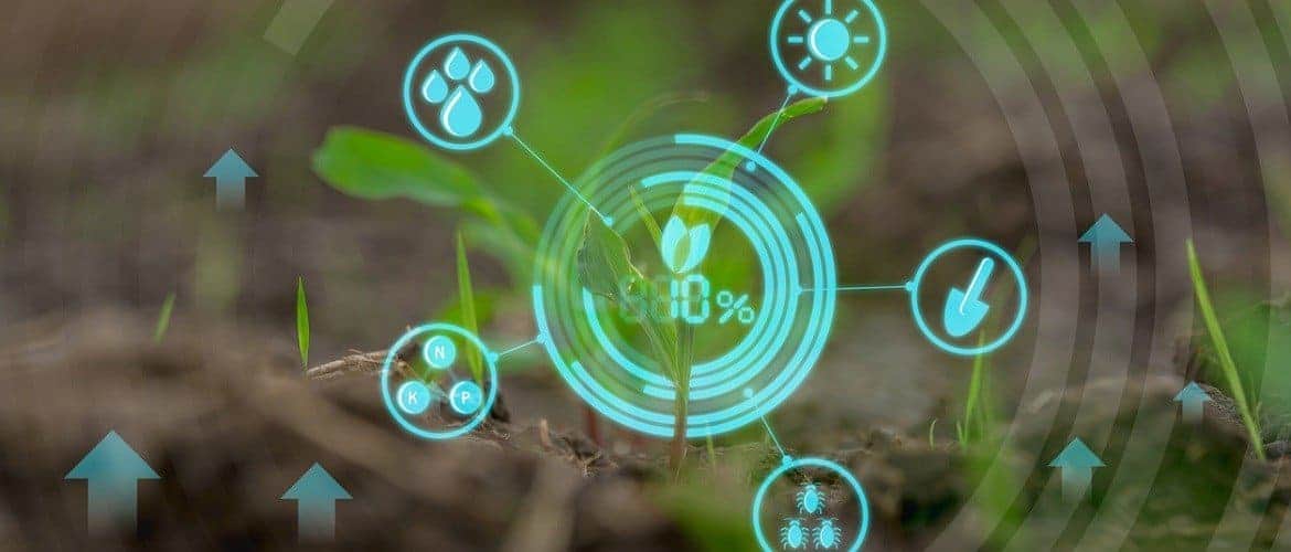 SXSW 2019: o que de mais interessante aconteceu no festival de inovação e tecnologia
