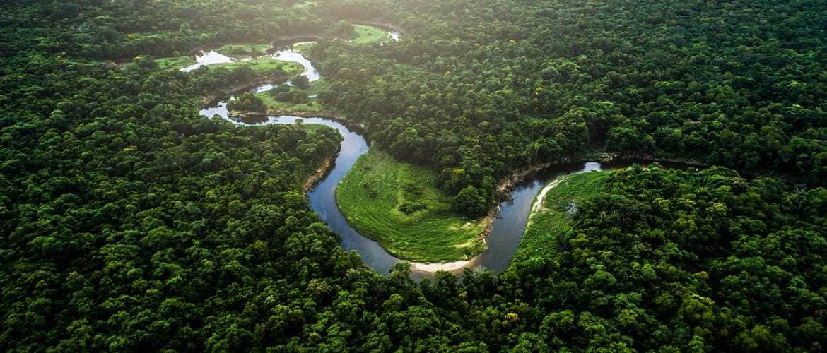Tecnologia pode ajudar a evitar desmatamento da Mata Atlântica