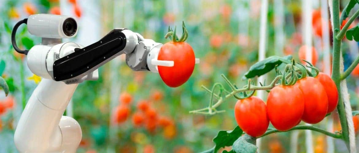 Como um robô que se autocura pode beneficiar a sua empresa