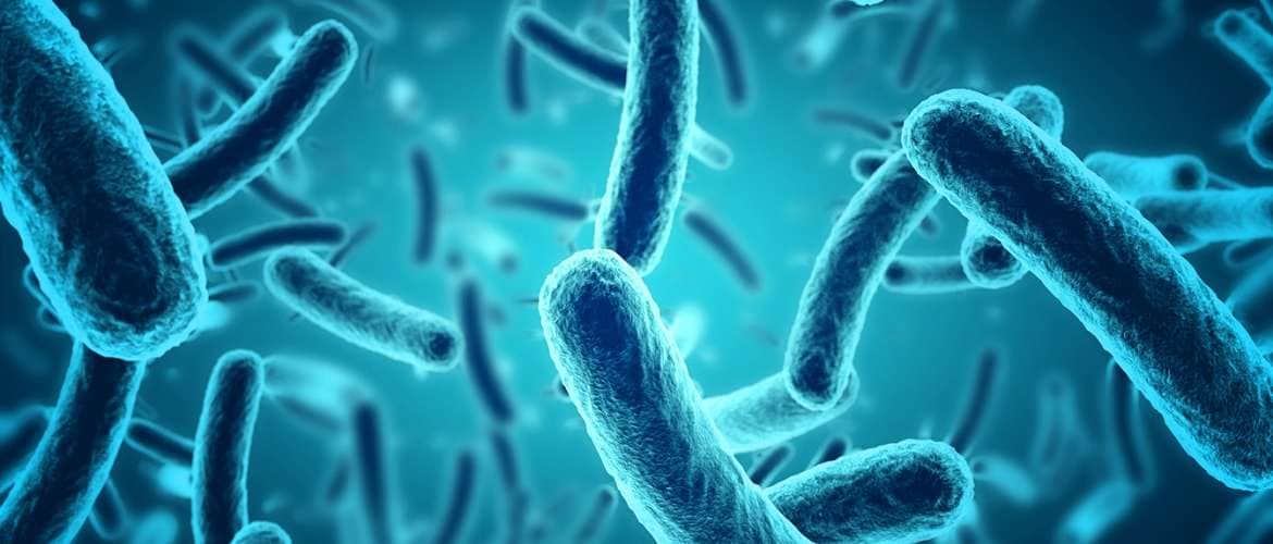 Descubra como um algoritmo de IA ajudou a desenvolver um antibiótico capaz de matar superbactérias?